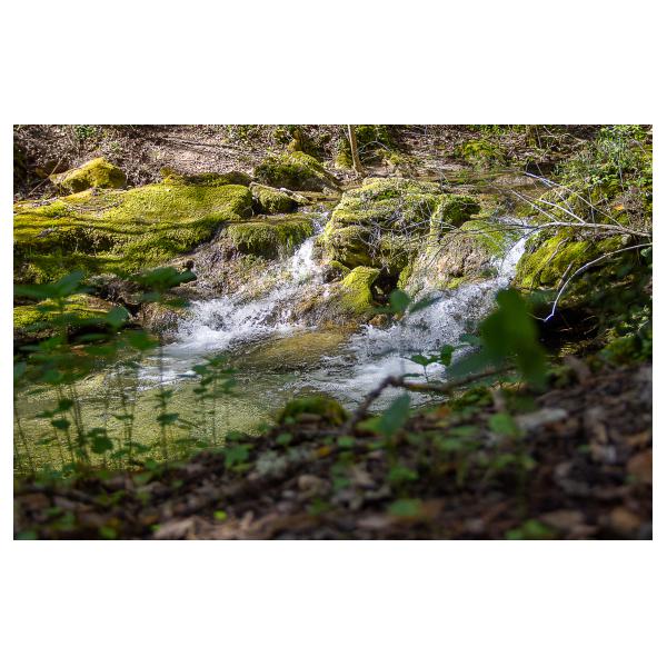 PHOTO84, CLUB, 84 , LUBERON